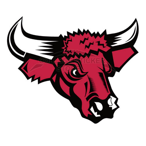 Personal Nebraska Omaha Mavericks Iron-on Transfers (Wall Stickers)NO.5392